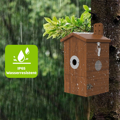 Wasserresistentes Vogelhaus mit integrierter Kamera (IP65), hängender Holz-Nistkasten an Baum im Regen
