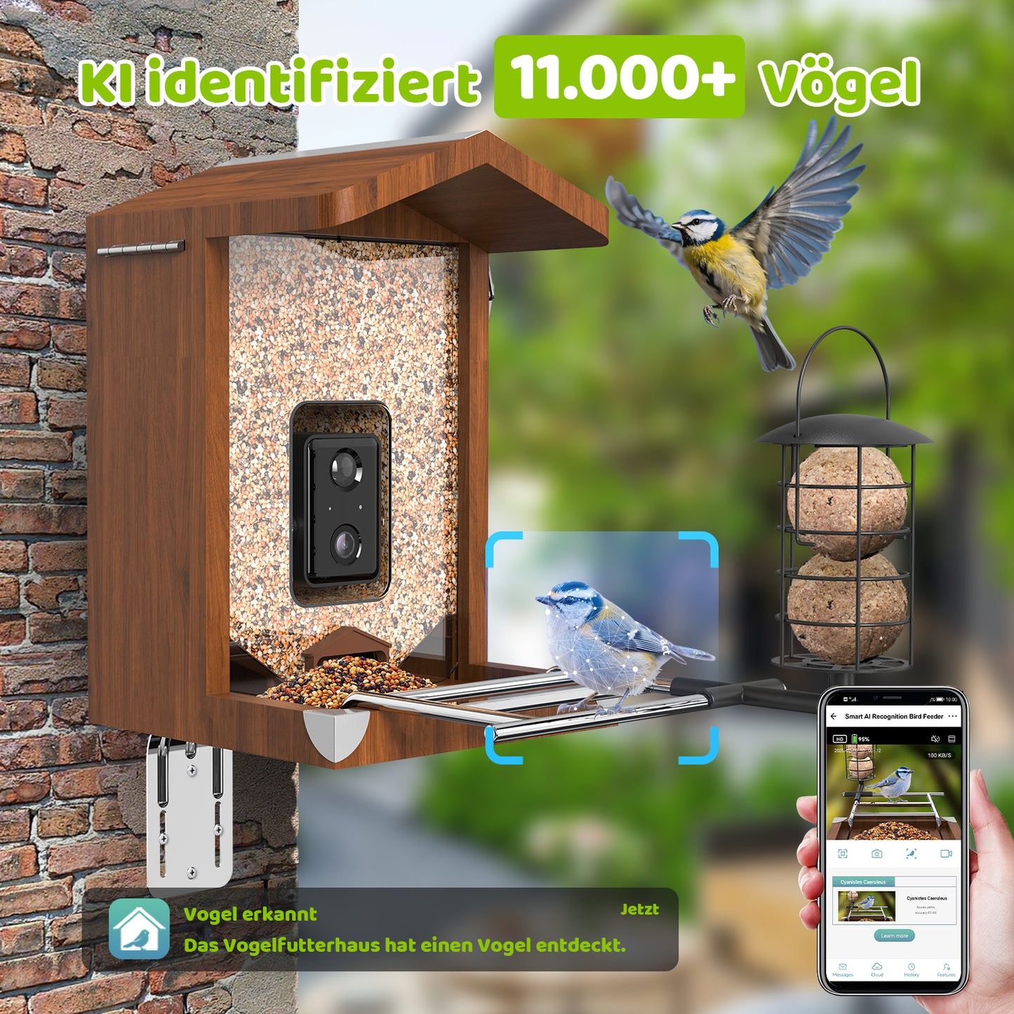 Vogelfutterhaus mit integrierter Kamera an Backsteinwand, Blaumeise auf Futterstange, Smartphone zeigt Vogel‑Erkennungs‑App und Schriftzug „KI identifiziert 11.000+ Vögel“.