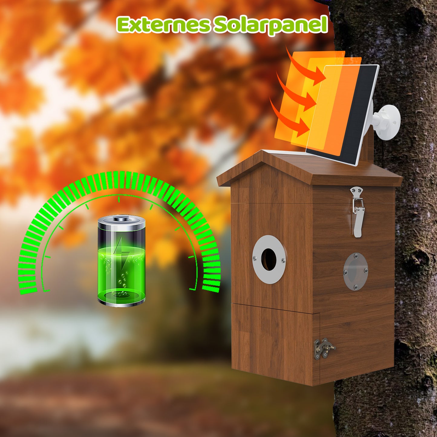 Braunes Holzvogelhaus mit Kameraöffnung, externem Solarpanel und grünem Batterie-Ladesymbol vor herbstlichem Hintergrund