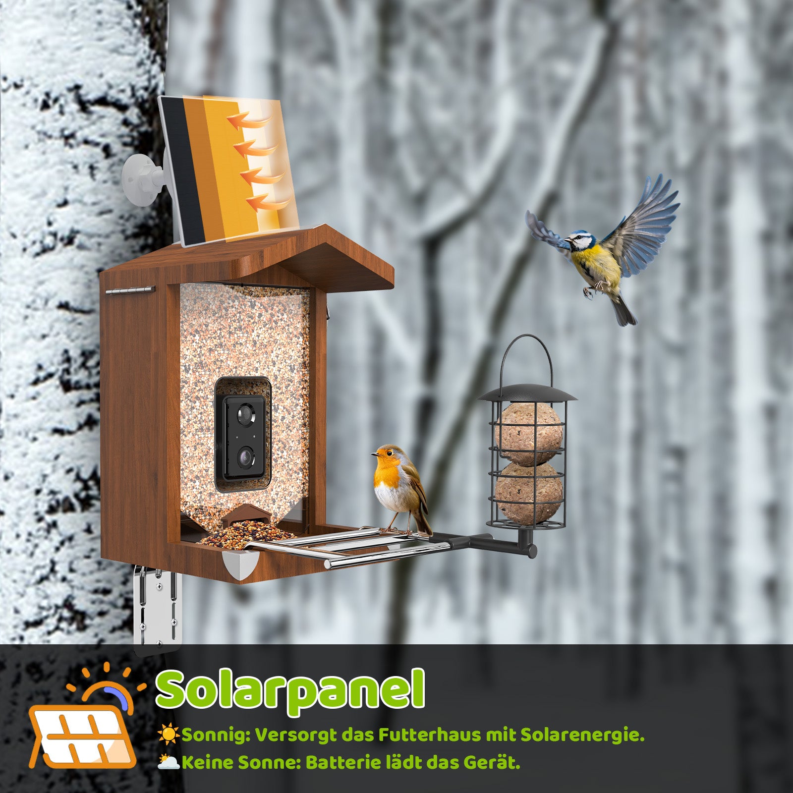 Solarbetriebenes Vogelhaus mit integrierter Kamera und Holzgehäuse, Futterschacht mit Körnern, Solarpanel auf dem Dach, Rotkehlchen auf der Sitzstange, Meise im Anflug und zusätzlicher Fettknödelfutterspender, montiert an Baum vor winterlichem Birkenwald