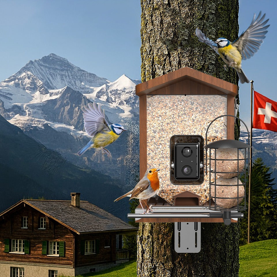 Vogelfutterhaus mit Kamera vor schönem bergigen Hintergrund, Berghütte und Schweizer Flagge