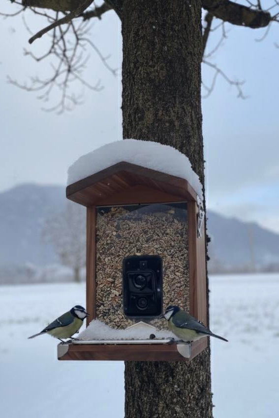 Vogelfutterhaus mit Kamera mit zwei Vögeln an einem Baum. Es liegt viel Schnee im Hintergrund und auf dem Vogelhaus